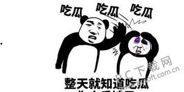 吃瓜群众表情是什么意思啊